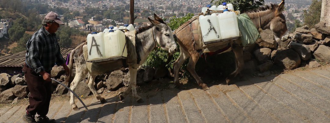 ¿Cómo se vive sin agua?